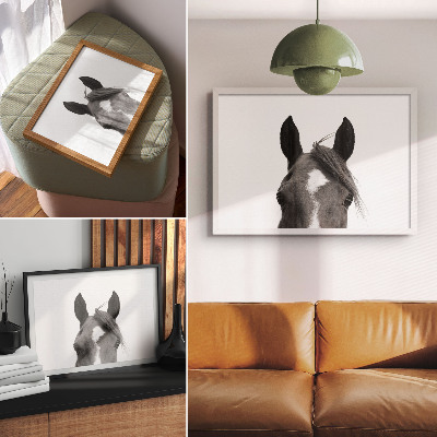 Stampa su tela moderna Fotografia in bianco e nero dell'eleganza equina