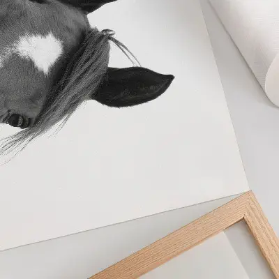 Stampa su tela moderna con fotografia in bianco e nero dell'eleganza equina