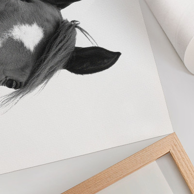 Stampa su tela moderna Fotografia in bianco e nero dell'eleganza equina