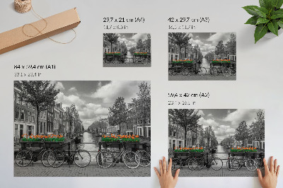Poster dai colori saturi Una vista incantevole del canale, biciclette, tulipani, nero e arancione