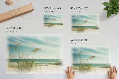 Poster murale di alta qualità Erba sulla spiaggia, oceano, cielo, pace