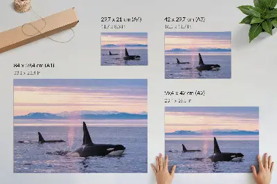 Poster con orche orchine assassine su sfondo di paesaggio marino dai colori pastello e saturi