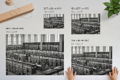 Poster Libreria classica con scaffali in legno