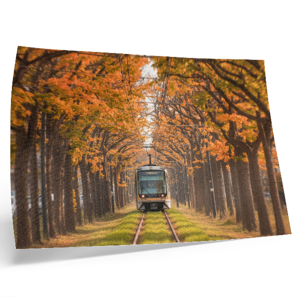 Poster murale di alta qualità Galleria autunnale con un tram in mezzo