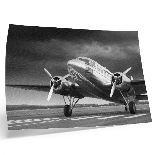 Poster dai colori saturi Vecchio aereo in colori monocromatici