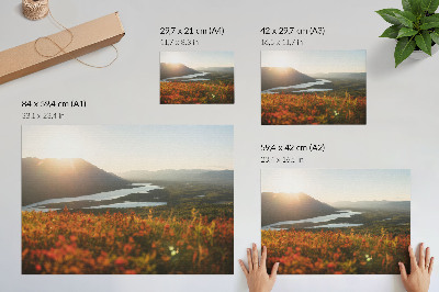 Poster Fiori, montagne, fiume, tramonto, atmosfera tranquilla