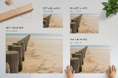 Poster dai colori saturi Paletti di legno spiaggia mare pace natura