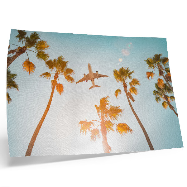 Poster murale di alta qualità Aereo, palme, cielo azzurro, clima tropicale
