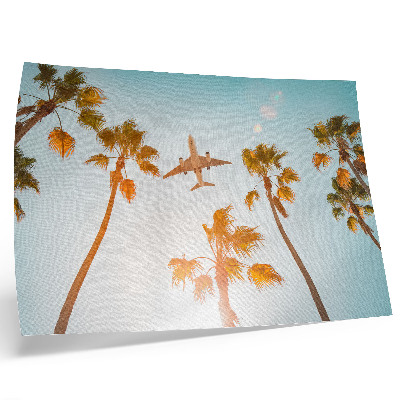Poster murale di alta qualità Aereo, palme, cielo azzurro, clima tropicale