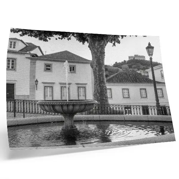 Stampa su tela moderna con fontana e castello in stile classico in bianco e nero