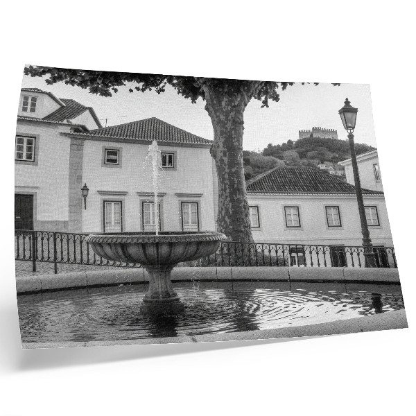 Stampa su tela moderna fontana in bianco e nero edifici classici castello