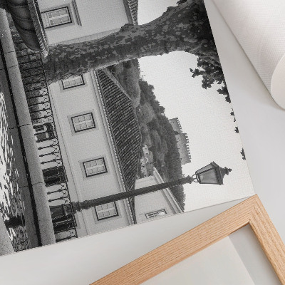 Stampa su tela moderna fontana in bianco e nero edifici classici castello