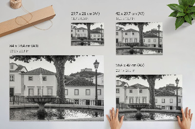 Stampa su tela moderna fontana in bianco e nero edifici classici castello