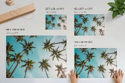 Poster palme contro sfondo blu con atmosfera naturale pacifica