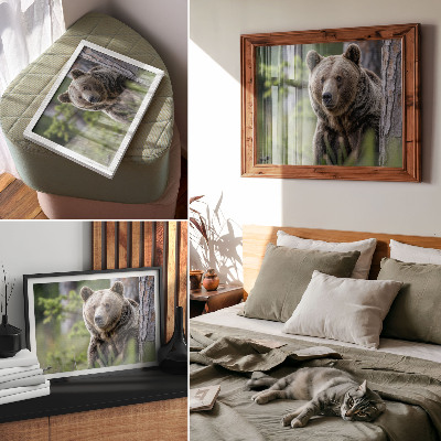 Poster murale di alta qualità Un orso in una foresta ricca di fascino naturale