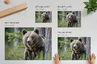 Poster murale di alta qualità con un orso in una foresta dal fascino naturale