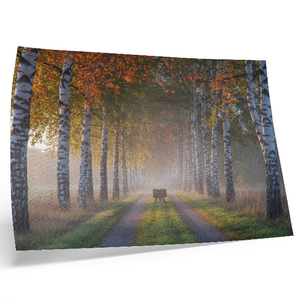 Poster Betulle simmetriche, luce nebbiosa, viale autunnale