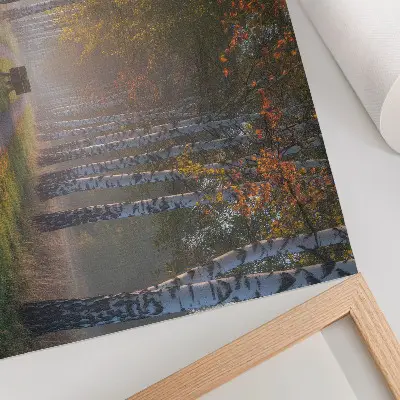 Poster betulle simmetriche in un viale autunnale con luce nebbiosa