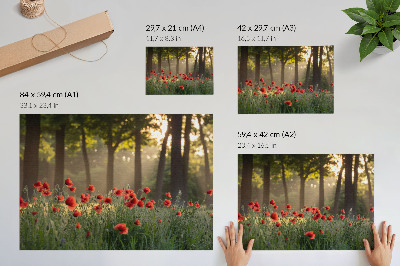 Poster dai colori saturi papaveri rossi verde foresta raggi di sole