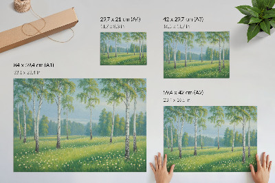 Poster murale di alta qualità Maestose betulle, prati verdi fioriti
