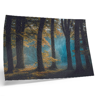 Poster dai colori saturi Foresta silenziosa, sole del mattino, foglie colorate