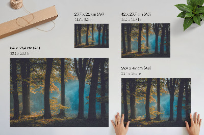Poster dai colori saturi Foresta silenziosa, sole del mattino, foglie colorate