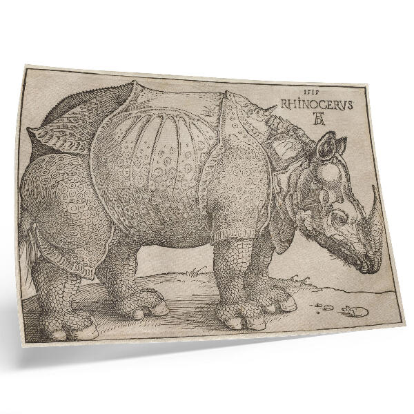 Poster murale di alta qualità Rinoceronte (1515) di Albrecht Dürer