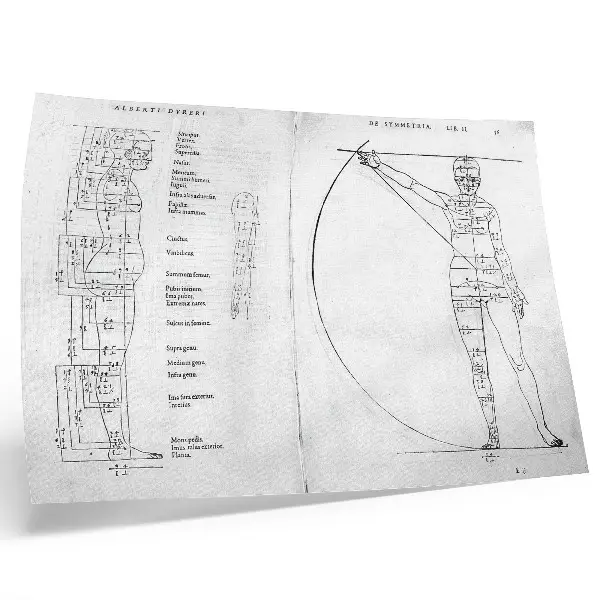 Stampa su tela moderna disegno di un uomo in stile latino secondo Albrecht Dürer