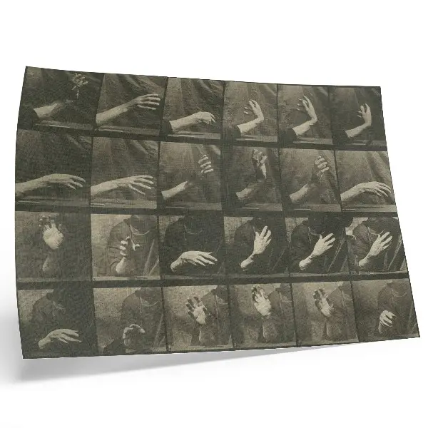 Poster Locomozione animale, Tavola 535 del 1887 di Eadweard Muybridge