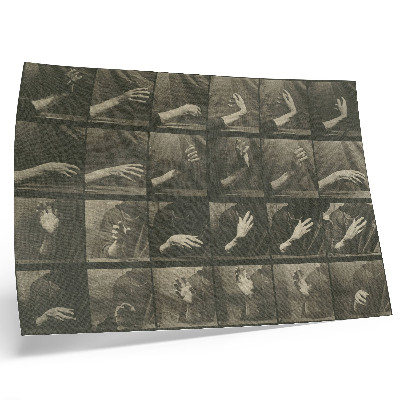 Poster Locomozione animale, Tavola 535 (1887) di Eadweard Muybridge