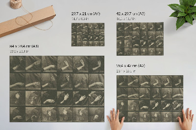 Poster Locomozione animale, Tavola 535 (1887) di Eadweard Muybridge