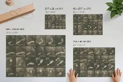 Poster Locomozione animale, Tavola 535 del 1887 di Eadweard Muybridge