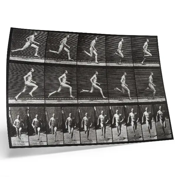 Tavola 60 di Animal Locomotion del 1887 di Eadweard Muybridge poster murale di alta qualità