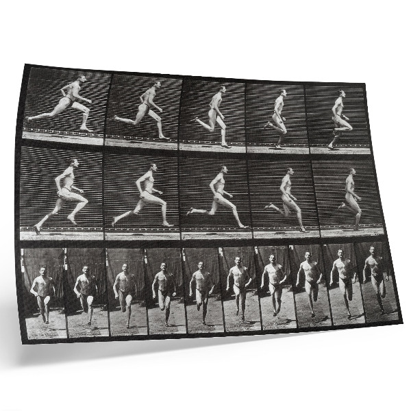 Poster murale di alta qualità Tavola 60 di Animal Locomotion (1887) fotografata da Eadweard Muybridge