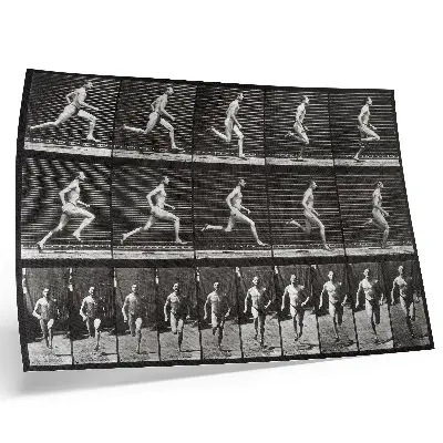Tavola 60 di Animal Locomotion del 1887 di Eadweard Muybridge poster murale di alta qualità