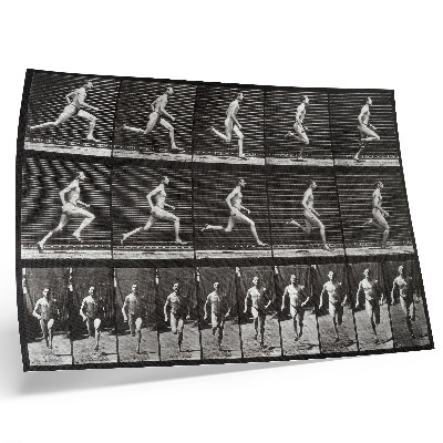 Poster murale di alta qualità Tavola 60 di Animal Locomotion (1887) fotografata da Eadweard Muybridge