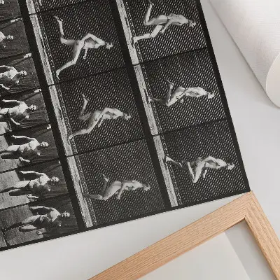 Tavola 60 di Animal Locomotion del 1887 di Eadweard Muybridge poster murale di alta qualità