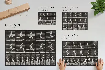 Tavola 60 di Animal Locomotion del 1887 di Eadweard Muybridge poster murale di alta qualità