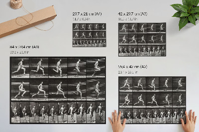Poster murale di alta qualità Tavola 60 di Animal Locomotion (1887) fotografata da Eadweard Muybridge