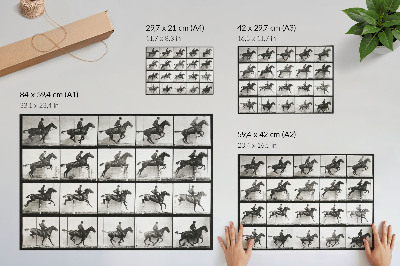 Stampa su tela moderna Tavola 640 di Animal Locomotion (1887), equitazione fotografata da Eadweard Muybridge