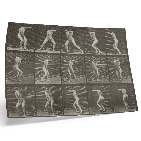Poster Tavola numero 73. Girarsi sorpreso e fuggire (1887) di Eadweard Muybridge