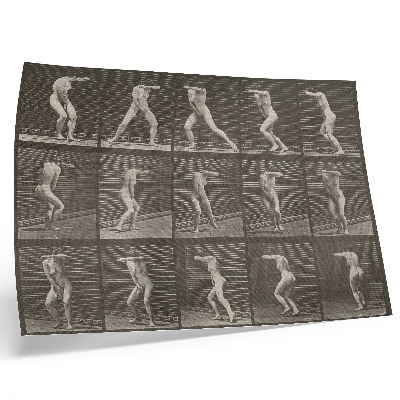 Poster Tavola numero 73. Girarsi sorpreso e fuggire (1887) di Eadweard Muybridge