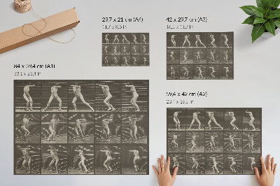 Poster Tavola numero 73. Girarsi sorpreso e fuggire (1887) di Eadweard Muybridge