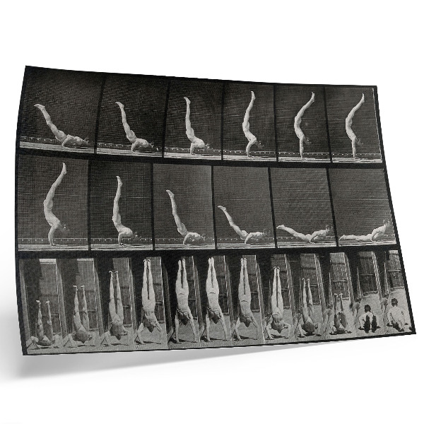 Poster murale di alta qualità Un uomo in piedi sulle mani, in posizione supina. Fototipo da un'opera di Eadweard Muybridge, 1887.