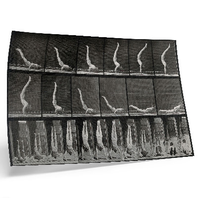 Poster murale di alta qualità Un uomo in piedi sulle mani, in posizione supina. Fototipo da un'opera di Eadweard Muybridge, 1887.
