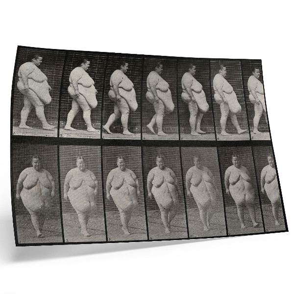 Stampa su tela moderna Donna obesa che cammina. Fototipo tratto da un'opera di Eadweard Muybridge, 1887.