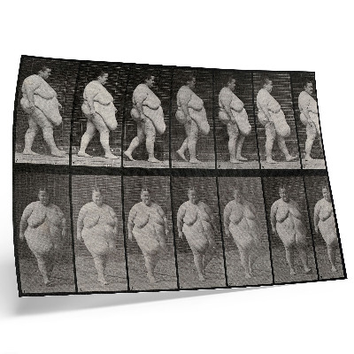 Stampa su tela moderna Donna obesa che cammina. Fototipo tratto da un'opera di Eadweard Muybridge, 1887.