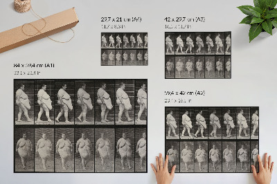Stampa su tela moderna Donna obesa che cammina. Fototipo tratto da un'opera di Eadweard Muybridge, 1887.