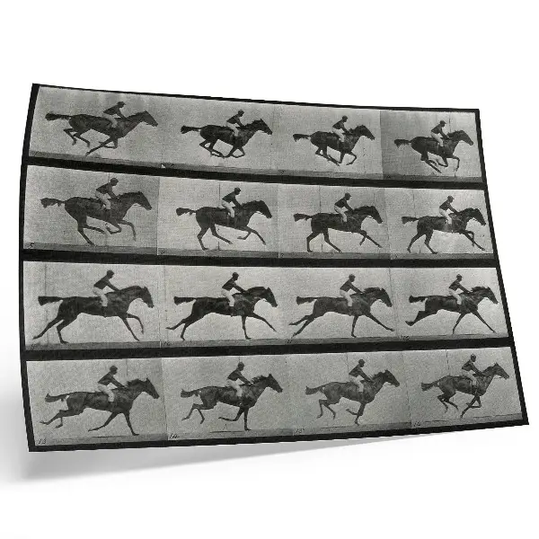 Poster Cavallo e cavaliere al galoppo, fototipo tratto da un'opera di Eadweard Muybridge del 1887