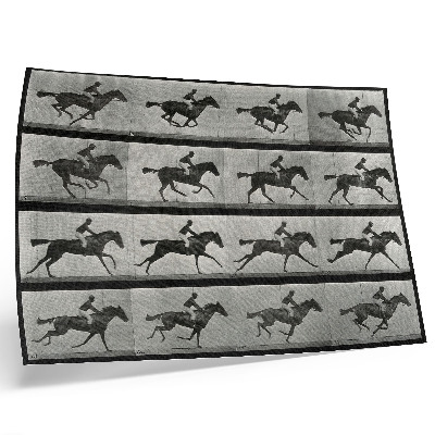Poster Cavallo e cavaliere al galoppo. Fototipo tratto da un'opera di Eadweard Muybridge, 1887.